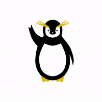 Penguin Hello GIF by Rockhopper Socks