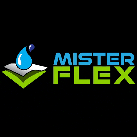 MisterFlex GIF