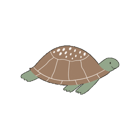 Costa Rica Turtle Sticker by Vajra Jahra Villas & Retreat Center