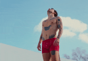 Harry Styles GIF