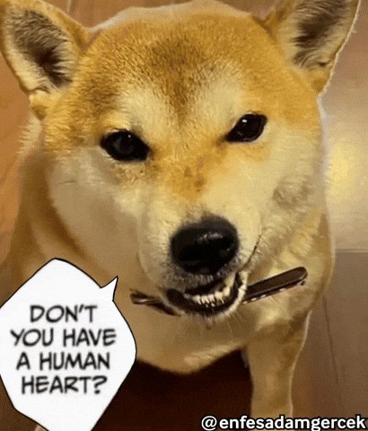 Dog Puppy GIF