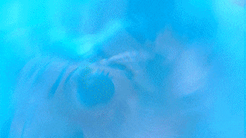 Music Video Party GIF by L.OL. Surprise!
