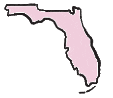 South Florida Beauty Sticker by laserbynicole