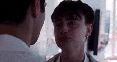 Why Did Balthazar GIF