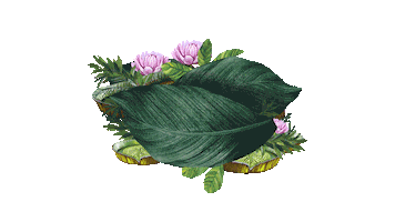 Lux Sticker