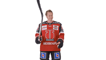 Bobby Violin Sticker by Örebro Hockey