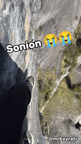 Sonion GIF