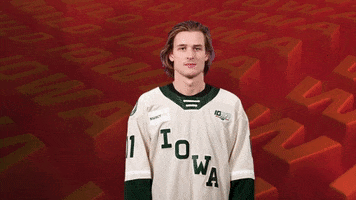 Ice Hockey Idk GIF by Iowa Wild