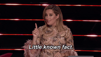 Ashley Tisdale Facts GIF by The Masked Dancer