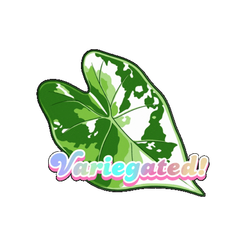 Alocasia Sticker