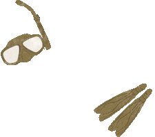 Sugar Beach, A Viceroy Resort GIFs on GIPHY - Be Animated