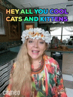 Cool Cat GIF by Cameo