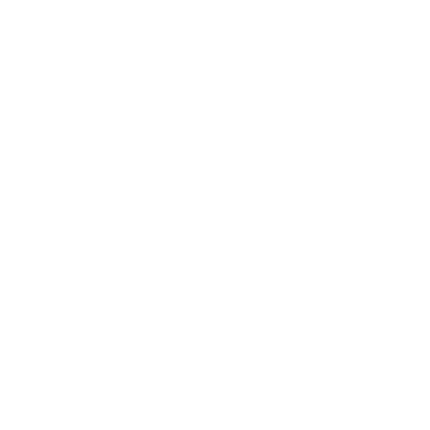 Mister Gadget Sticker