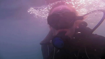 liquidART guadeloupe liquidart plongÃ©e dÃ©couverte GIF