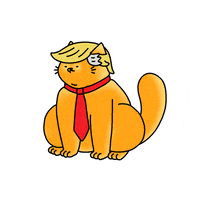 Donald Trump GIF by Leon Karssen