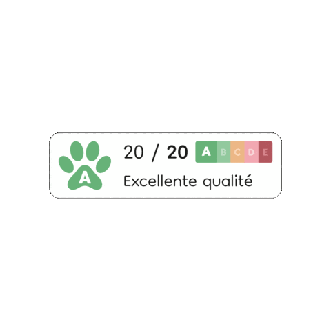 Petscore Sticker by APPETTO