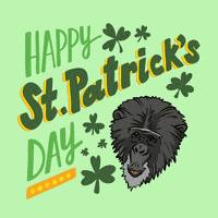 St Patricks Day Chimpanzees GIF by Save the Chimps