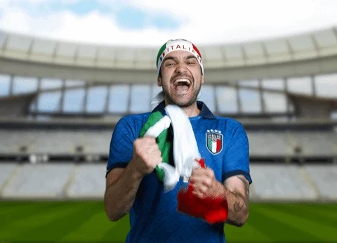 Euro Cup Football GIF by Jake Martella