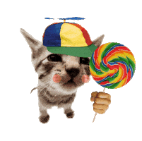 Lollipop Silly Cat Sticker