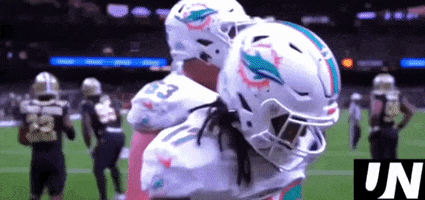 Miami Dolphins GIF by The Undroppables