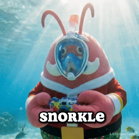 Sea Turtle GIF by LobsterClaus