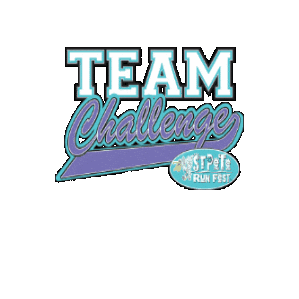 St Pete Run Fest Sticker