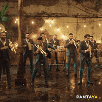 Banda El Recodo Christmas GIF by Pantaya
