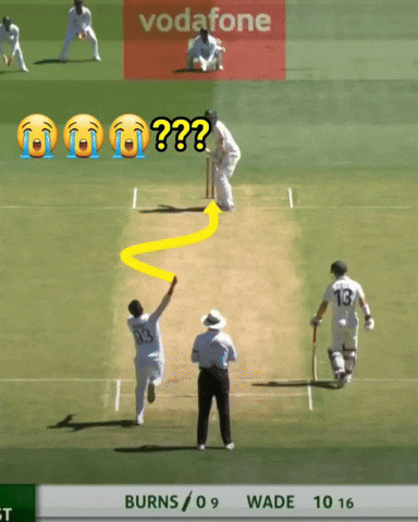 Cricket Wow GIF