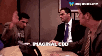 The Office Thank You GIF by Imaginal Biotech