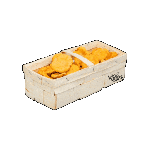 Leśne Skarby Sticker