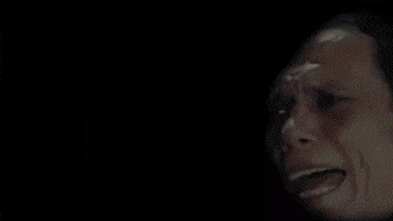 Bear GIF