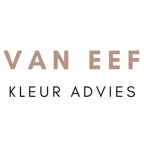 GIF by Van Eef