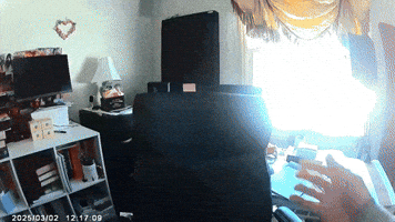 Magfish GIF by 1990retro