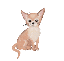 Dog Sticker