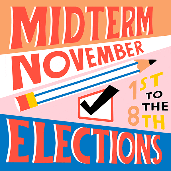Voting Midterm Elections GIF by imrobinthisjoint