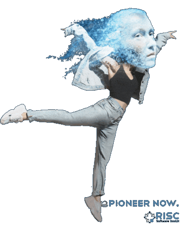 Teamrisc Sticker by risc_software