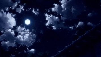 Zanzibar00010 GIF