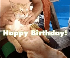  happy birthday happy birthday funny GIF