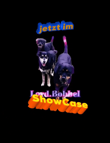 Dog Shop GIF