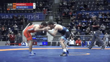 Wrestling GIF
