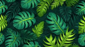GIF by TeaCosyFolk