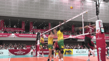 Awesome Magic GIF by Volleyball World