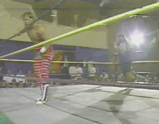 Wwe GIF