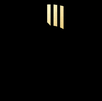Logo Flash GIF
