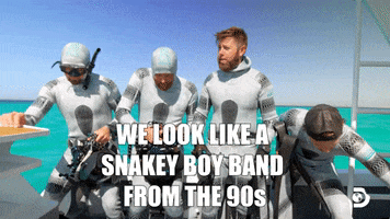 Backstreet Boys 90S GIF by Shark Week