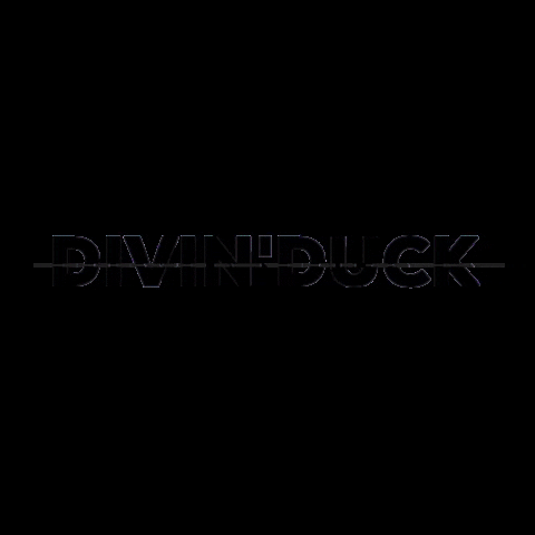 GIF by DIVIN'DUCK