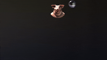 Cgi GIF