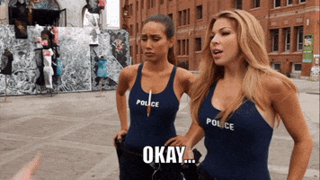Police Cop GIF by Noise Nest Network