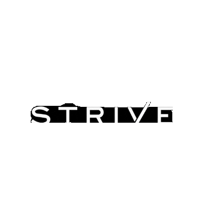 StriveRealEstateGroup Sticker