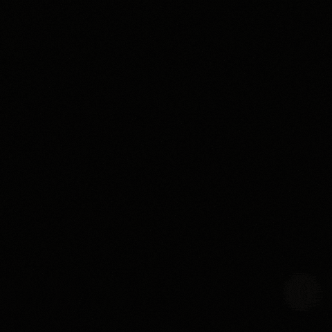Miss World Queen GIF by AndreaRomeroBre